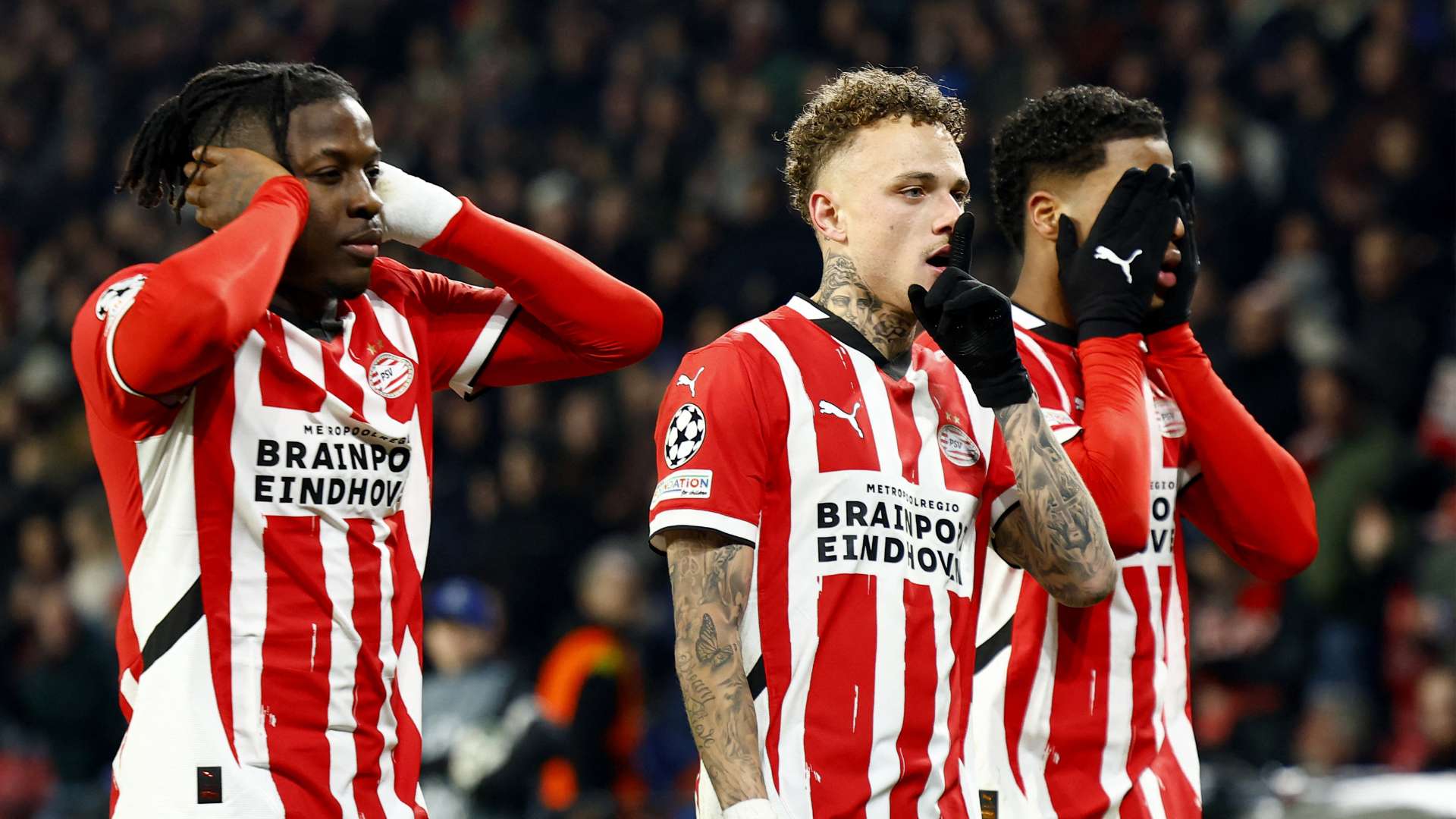 的国际观众 的国际观众