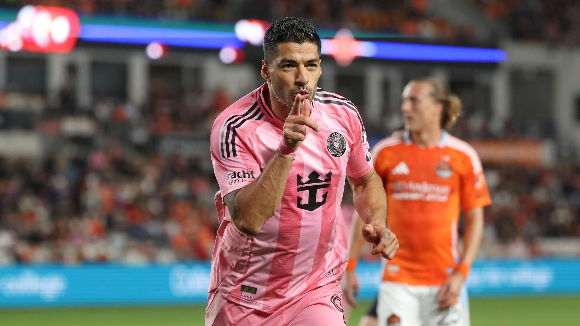 基本信息 基本信息